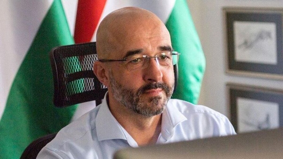 Венгерское правительство решает проблему с овощами