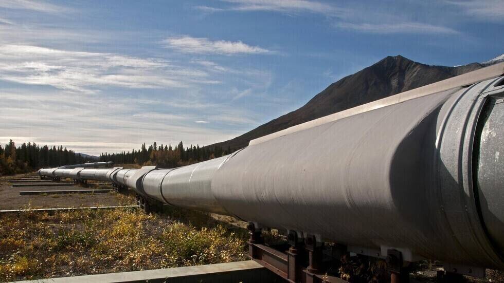 Hungary, Slovakia get Russian oil via Croatia